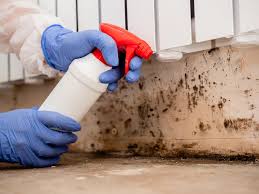 Why You Should Choose Our Mold Remediation Services in Nyssa, OR